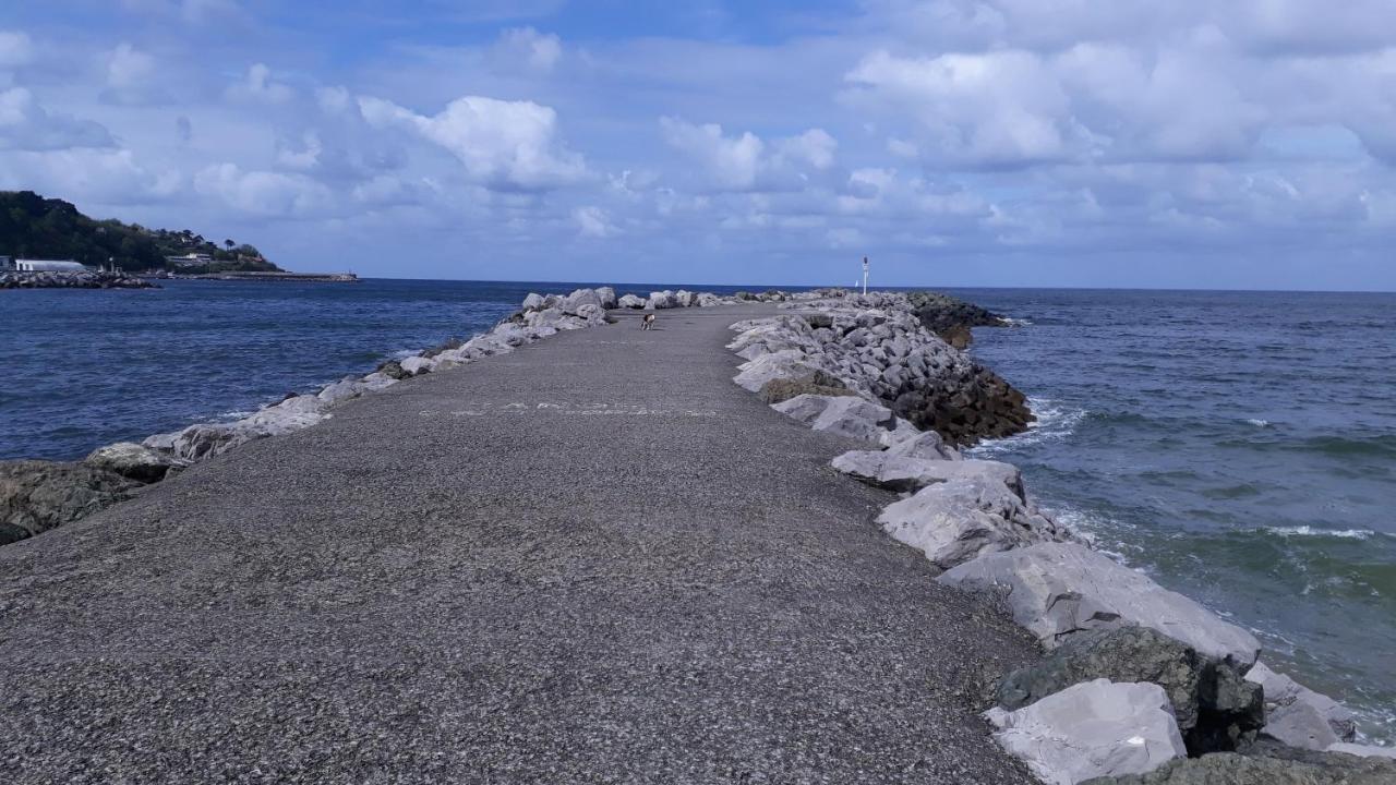 Appartement Les Hirondelles 2Km Plage-Wifi-Jardin-Parking-Draps Et Serviettes Hendaye Luaran gambar